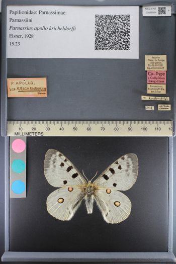 Media type: image;   Entomology 98924
